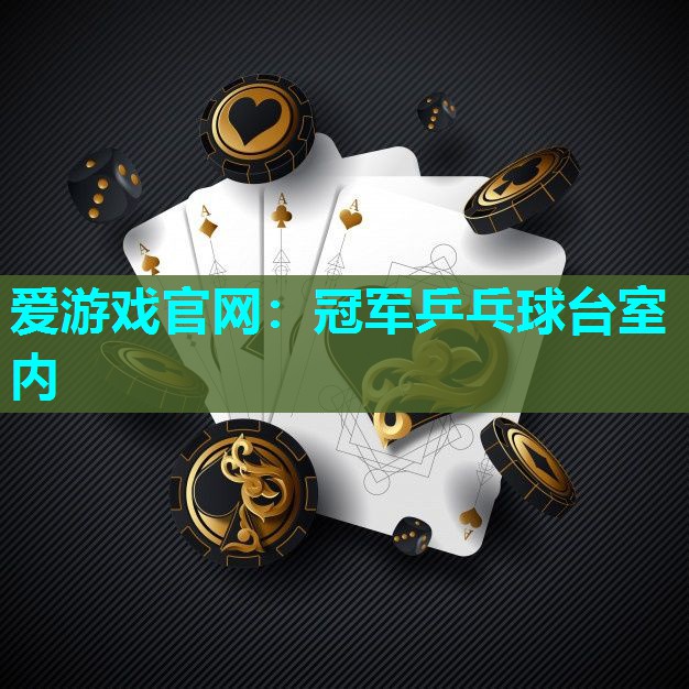 爱游戏官网：冠军乒乓球台室内