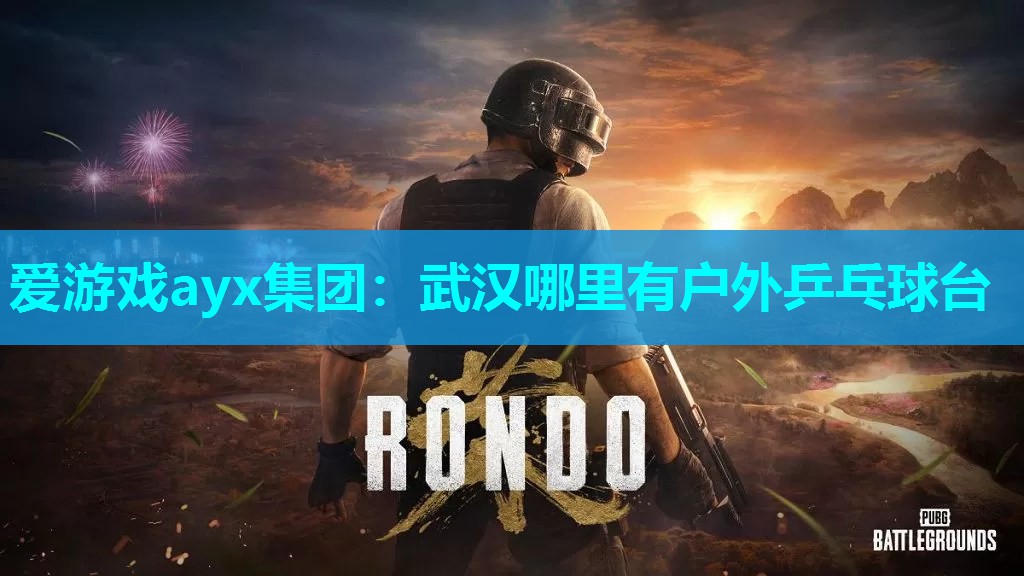 爱游戏ayx集团：武汉哪里有户外乒乓球台