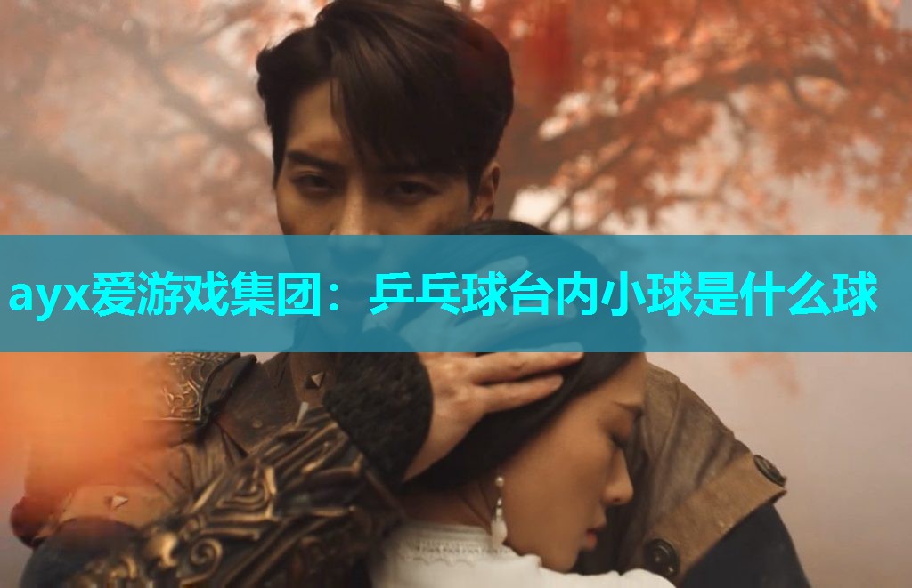 ayx爱游戏集团：乒乓球台内小球是什么球