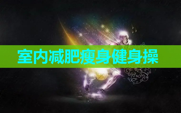 室内减肥瘦身健身操