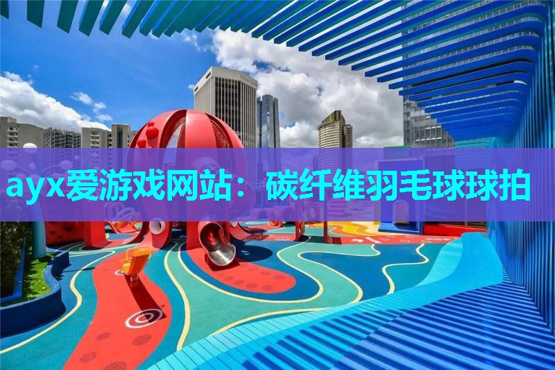 ayx爱游戏网站：碳纤维羽毛球球拍