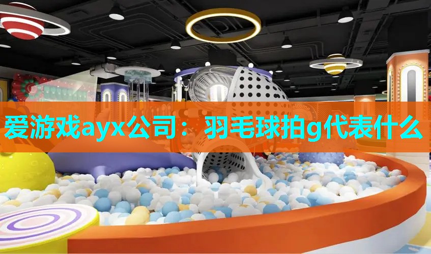 羽毛球拍g代表什么